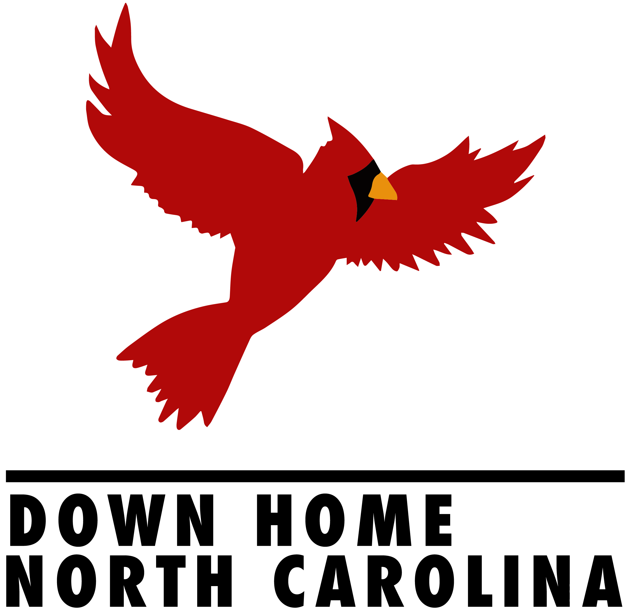 Down Home North Carolina